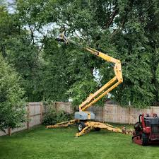 Best Tree Disease Treatment  in Harrington Park, NJ