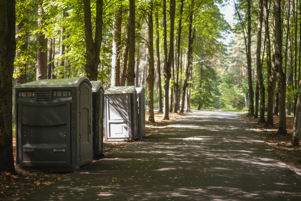 Best Utility Line Clearance  in Harrington Park, NJ