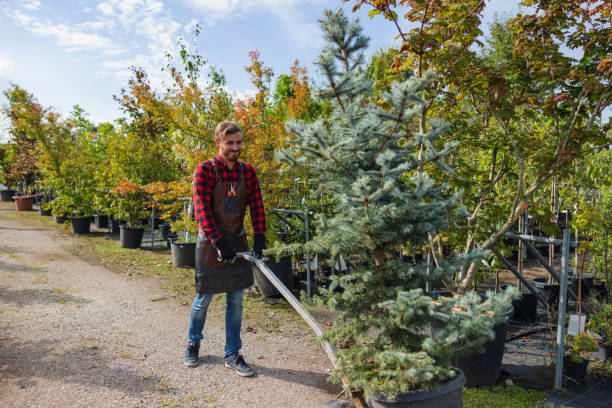 Best Tree Health Inspection  in Harrington Park, NJ
